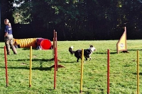 Agility Anfängerkurs 2005