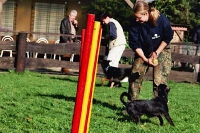 Agility Anfängerkurs 2005