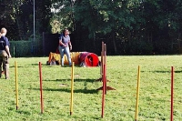 Agility Anfängerkurs 2005