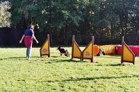 Agility Anfängerkurs 2005