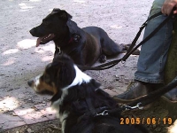Allwetterzoo 2005