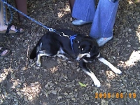 Allwetterzoo 2005