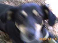 Allwetterzoo 2005