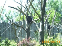Allwetterzoo 2005