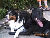 Allwetterzoo 2005