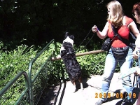 Allwetterzoo 2005