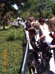 Allwetterzoo 2005