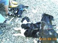 Allwetterzoo 2005