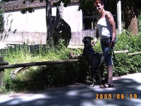 Allwetterzoo 2005