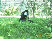 Allwetterzoo 2005