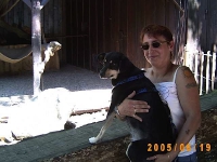 Allwetterzoo 2005