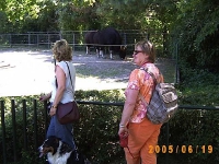 Allwetterzoo 2005