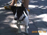 Allwetterzoo 2005