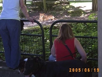 Allwetterzoo 2005