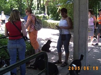 2005 CBF-Dogs