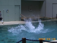 Allwetterzoo 2005