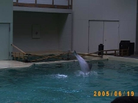 Allwetterzoo 2005