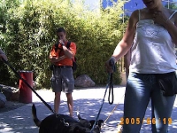 Allwetterzoo 2005