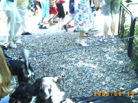 Allwetterzoo 2005