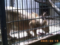 Allwetterzoo 2005