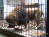 Allwetterzoo 2005