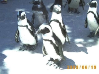 Allwetterzoo 2005
