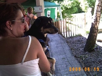 Allwetterzoo 2005
