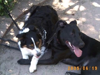 Allwetterzoo 2005
