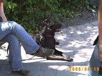 Allwetterzoo 2005