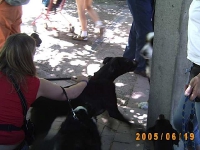 Allwetterzoo 2005