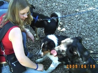 Allwetterzoo 2005