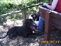 Allwetterzoo 2005