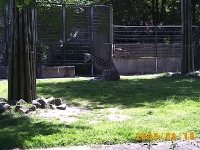 Allwetterzoo 2005