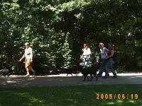Allwetterzoo 2005