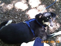 Allwetterzoo 2005