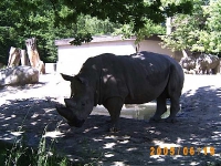 Allwetterzoo 2005
