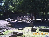 Allwetterzoo 2005