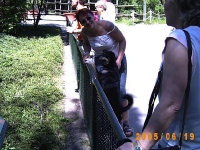 Allwetterzoo 2005