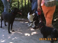 Allwetterzoo 2005