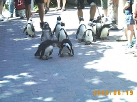 Allwetterzoo 2005
