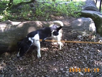 Allwetterzoo 2005