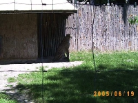 Allwetterzoo 2005