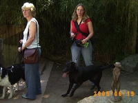 Allwetterzoo 2005