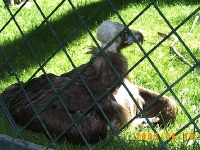 Allwetterzoo 2005
