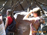 Allwetterzoo 2005