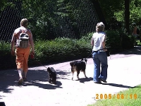 Allwetterzoo 2005