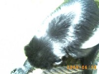 Allwetterzoo 2005