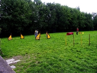 2006 CBF-Dogs