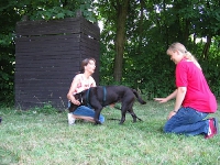 Dogfrisbee Anfänger 22.07.2006