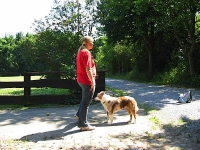 Dogfrisbee Aufbaukurs mit Karin am 01.07.2006